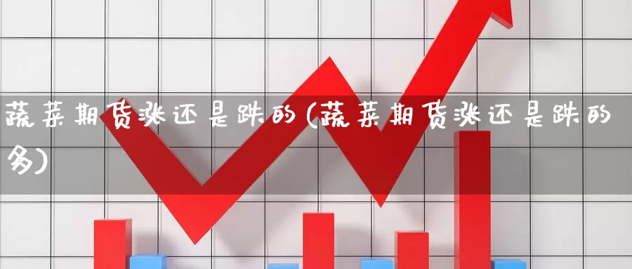 蔬菜期货涨还是跌的(蔬菜期货涨还是跌的多)_https://www.jhhongfan.com_纳指期货_第1张
