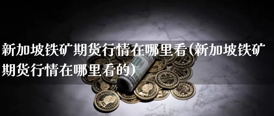 新加坡铁矿期货行情在哪里看(新加坡铁矿期货行情在哪里看的)_https://www.jhhongfan.com_期货理财_第1张