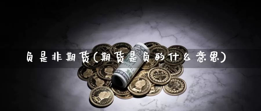 负是非期货(期货是负的什么意思)_https://www.jhhongfan.com_黄金期货_第1张