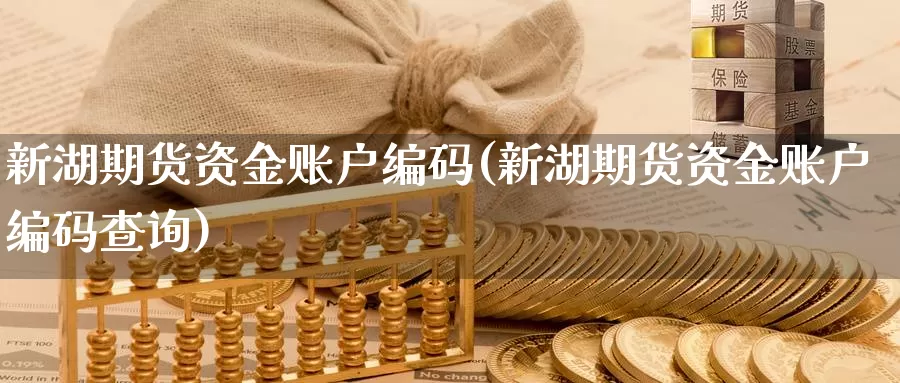 新湖期货资金账户编码(新湖期货资金账户编码查询)_https://www.jhhongfan.com_黄金期货_第1张