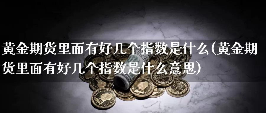 黄金期货里面有好几个指数是什么(黄金期货里面有好几个指数是什么意思)_https://www.jhhongfan.com_纳指期货_第1张