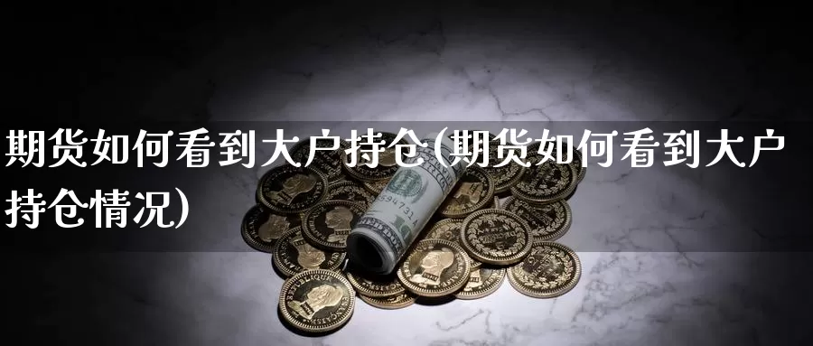 期货如何看到大户持仓(期货如何看到大户持仓情况)_https://www.jhhongfan.com_原油期货_第1张