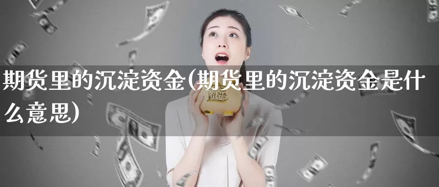 期货里的沉淀资金(期货里的沉淀资金是什么意思)_https://www.jhhongfan.com_原油期货_第1张