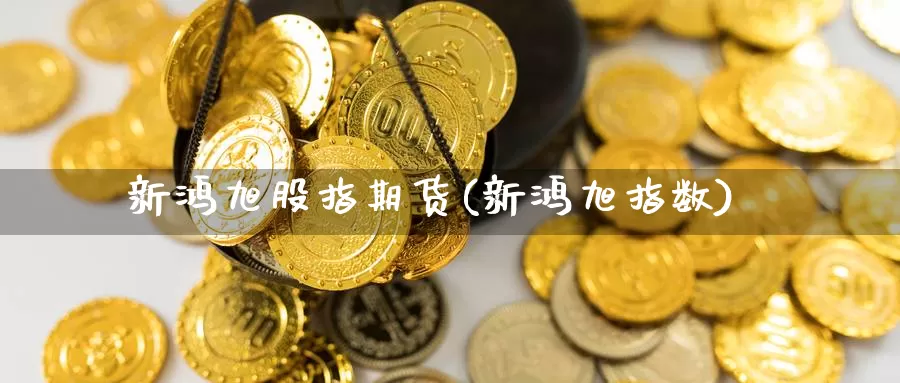 新鸿旭股指期货(新鸿旭指数)_https://www.jhhongfan.com_黄金期货_第1张