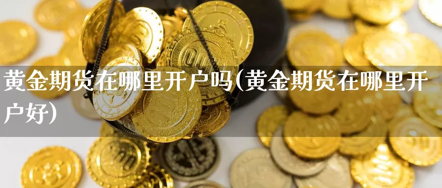 黄金期货在哪里开户吗(黄金期货在哪里开户好)_https://www.jhhongfan.com_期货技术_第1张