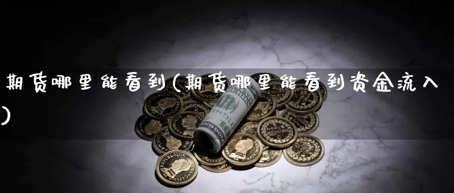 期货哪里能看到(期货哪里能看到资金流入)_https://www.jhhongfan.com_原油期货_第1张