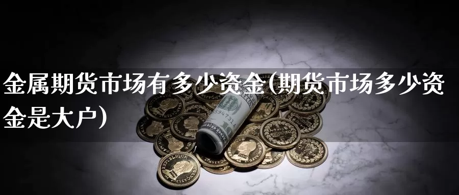 金属期货市场有多少资金(期货市场多少资金是大户)_https://www.jhhongfan.com_纳指期货_第1张