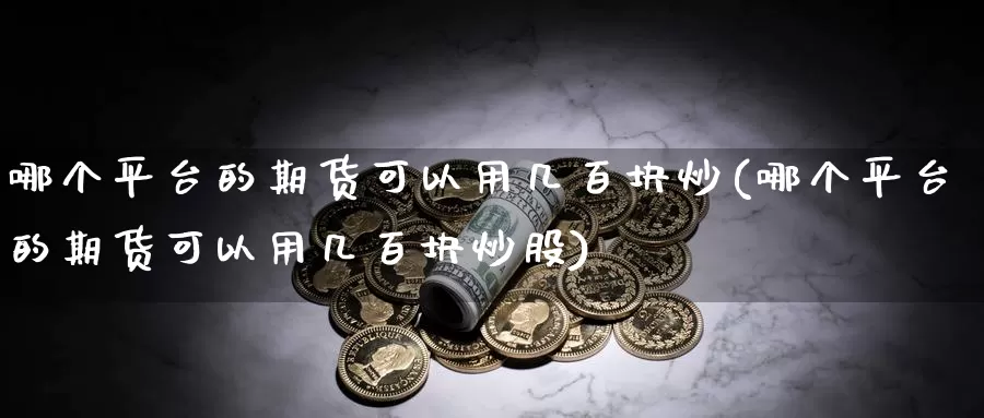 哪个平台的期货可以用几百块炒(哪个平台的期货可以用几百块炒股)_https://www.jhhongfan.com_期货理财_第1张