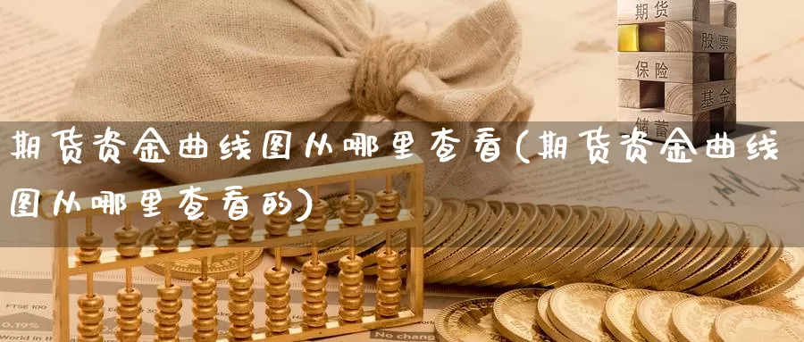 期货资金曲线图从哪里查看(期货资金曲线图从哪里查看的)_https://www.jhhongfan.com_期货技术_第1张