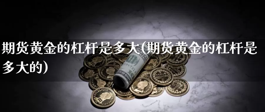 期货黄金的杠杆是多大(期货黄金的杠杆是多大的)_https://www.jhhongfan.com_期货技术_第1张