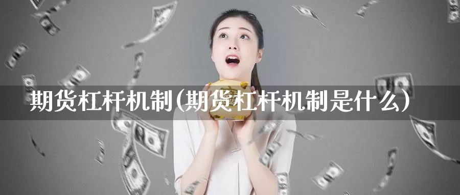 期货杠杆机制(期货杠杆机制是什么)_https://www.jhhongfan.com_黄金期货_第1张