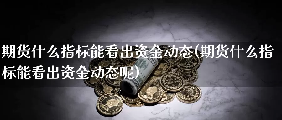 期货什么指标能看出资金动态(期货什么指标能看出资金动态呢)_https://www.jhhongfan.com_期货分类_第1张