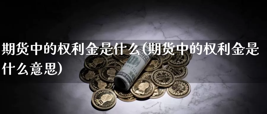 期货中的权利金是什么(期货中的权利金是什么意思)_https://www.jhhongfan.com_原油期货_第1张