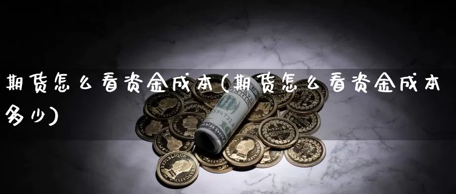 期货怎么看资金成本(期货怎么看资金成本多少)_https://www.jhhongfan.com_纳指期货_第1张