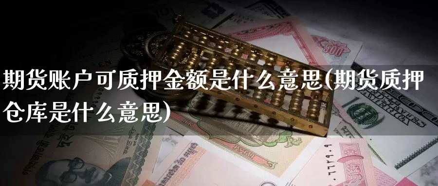 期货账户可质押金额是什么意思(期货质押仓库是什么意思)_https://www.jhhongfan.com_期货理财_第1张