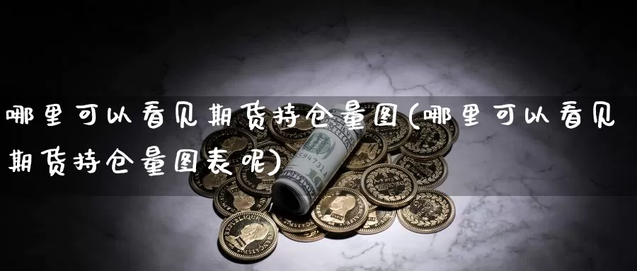 哪里可以看见期货持仓量图(哪里可以看见期货持仓量图表呢)_https://www.jhhongfan.com_期货入门_第1张