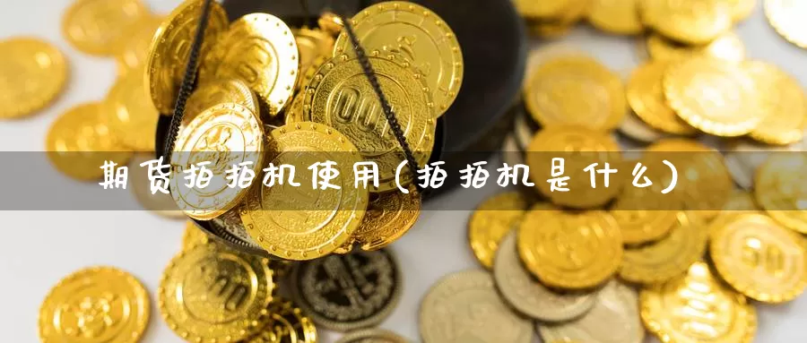 期货拍拍机使用(拍拍机是什么)_https://www.jhhongfan.com_期货理财_第1张